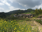 大別山農家樂