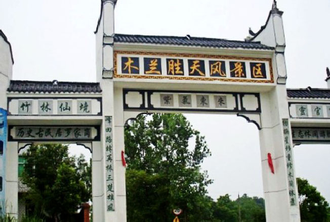 �����r�f�TƱ