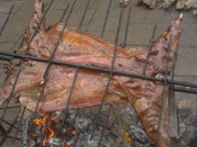 �Ĵ����������쾮�w�͗�