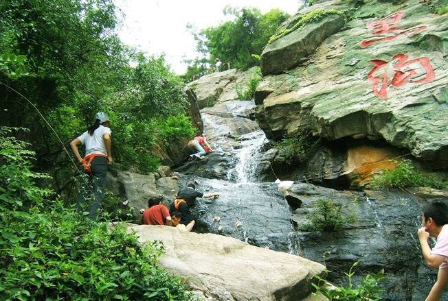 �����r�f�TƱ