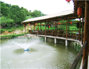 �����r�f�TƱ