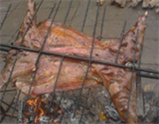 �Ĵ����������쾮�w�͗�