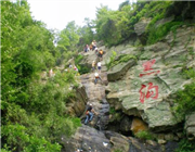 �����r�f�TƱ